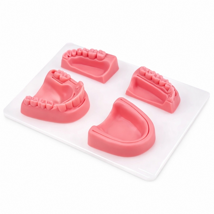 Dental Surgical Suture Training Kit – Oral Suturing Practice Model with Instruments