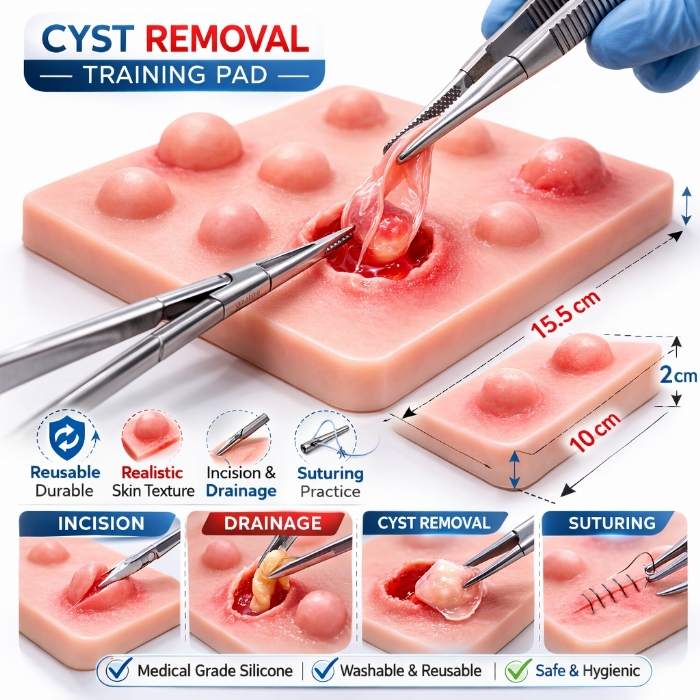 Silicone Laparoscopic Simulation Training Pad – Minimally Invasive Surgery Practice Model