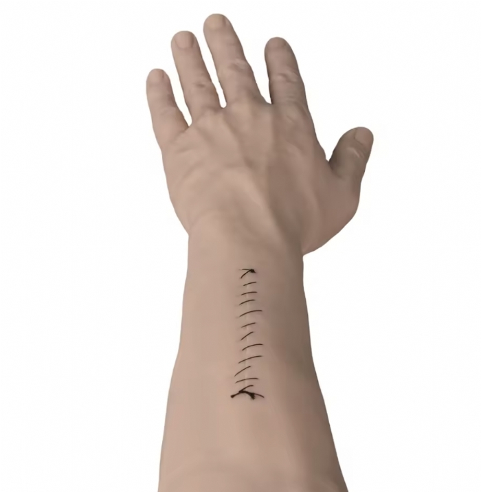 Hand Surgery Suturing Training Model – Silicone Hand Surgical Skills Simulator