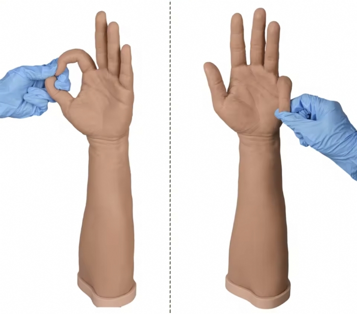 Hand Surgery Suturing Training Model – Silicone Hand Surgical Skills Simulator
