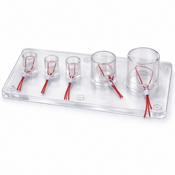 Vascular Ligation Training Simulator – Surgical Vessel Ligation Practice Model