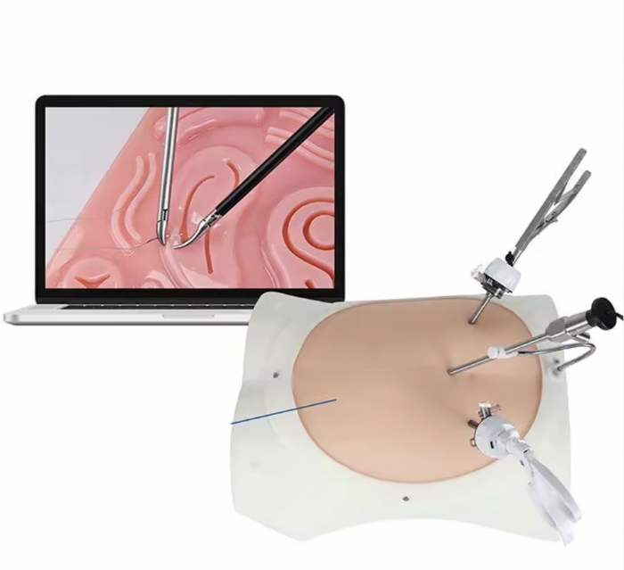 Advanced Laparoscopic Trainer Box – Abdominal Minimally Invasive Surgery Training Simulator