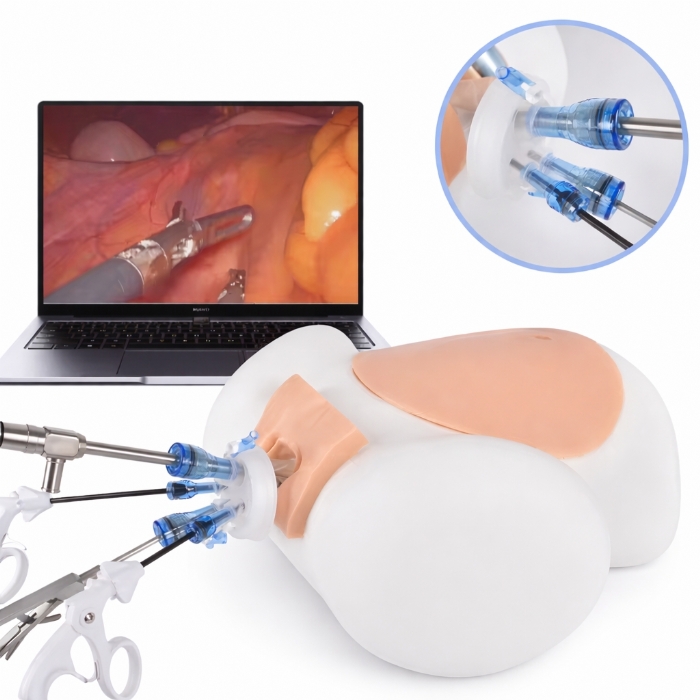 Abdominal Laparoscopic Surgery Simulator – Advanced Minimally Invasive Surgical Training System