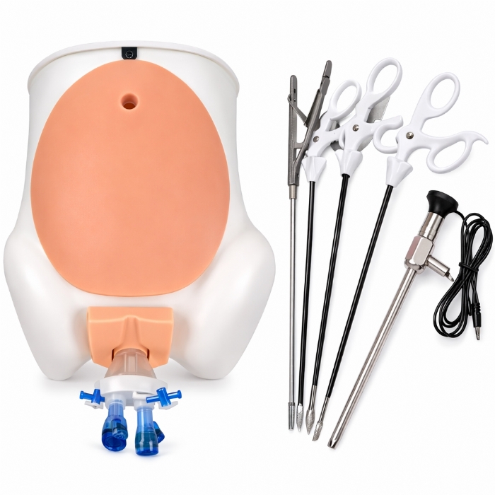 Abdominal Laparoscopic Surgery Simulator – Advanced Minimally Invasive Surgical Training System