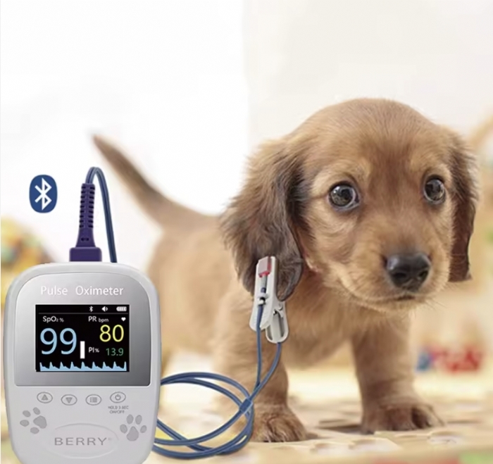 BM1000A-I Veterinary Pulse Oximeter – SpO2, PR & PI Monitor – Handheld Animal Oxygen Monitor – Bluetooth App Enabled – Veterinary Instrument