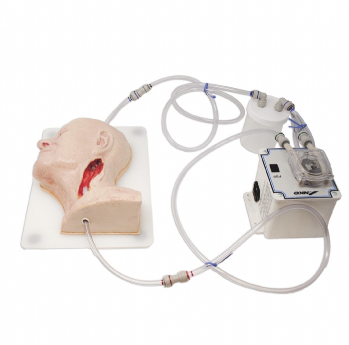 Carotid Head Simulator – Vascular Surgery Training Model – Carotid Endarterectomy Practice – Realistic Surgical Simulation Head – (Professional Training Use)