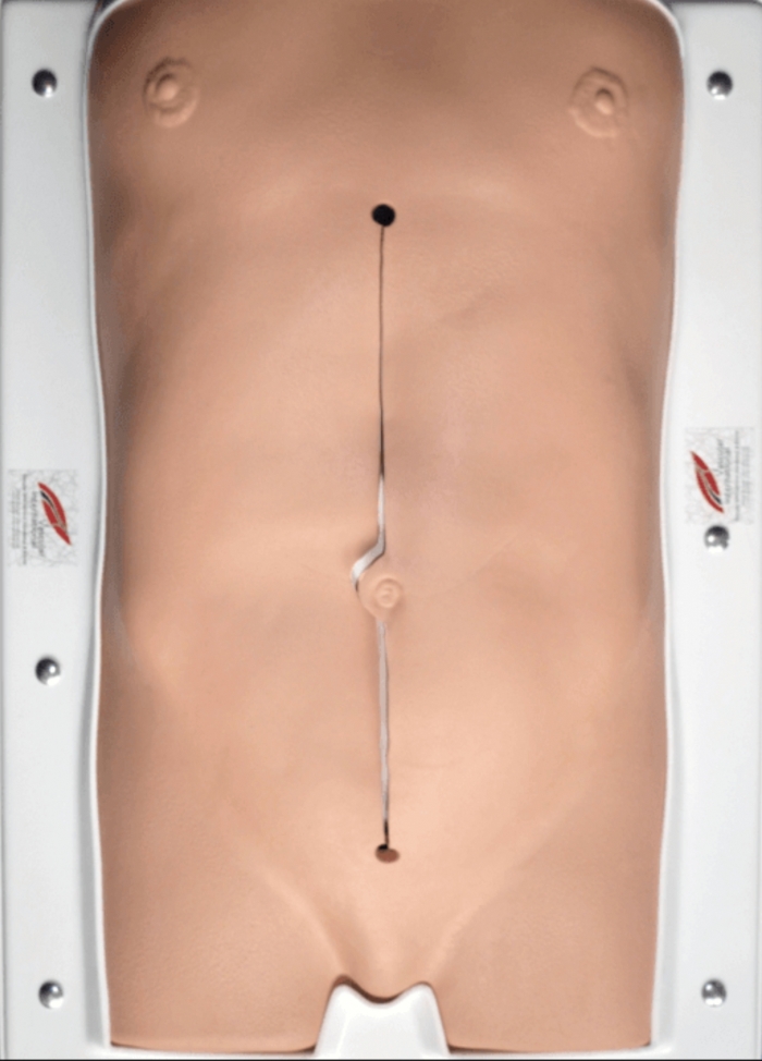 Abdominal Aortic Aneurysm (AAA) Abdomen Simulator – Vascular Surgery Training Model with Pulsatile Flow System – Open Aneurysm Repair Training – (Professional Use)