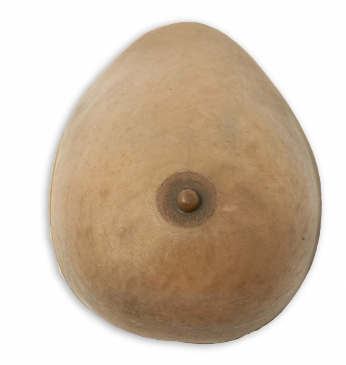 Breast Biopsy Training Model – Ultrasound-Guided Needle Biopsy Simulator – Palpation & Lesion Detection Training – (Professional Medical Training Use)