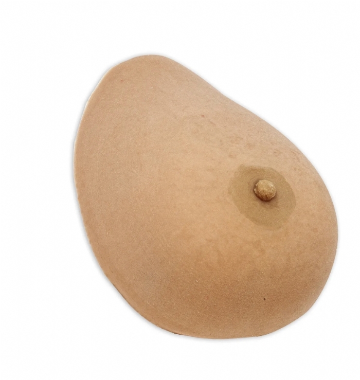 Breast Biopsy Training Model – Ultrasound-Guided Needle Biopsy Simulator – Palpation & Lesion Detection Training – (Professional Medical Training Use)