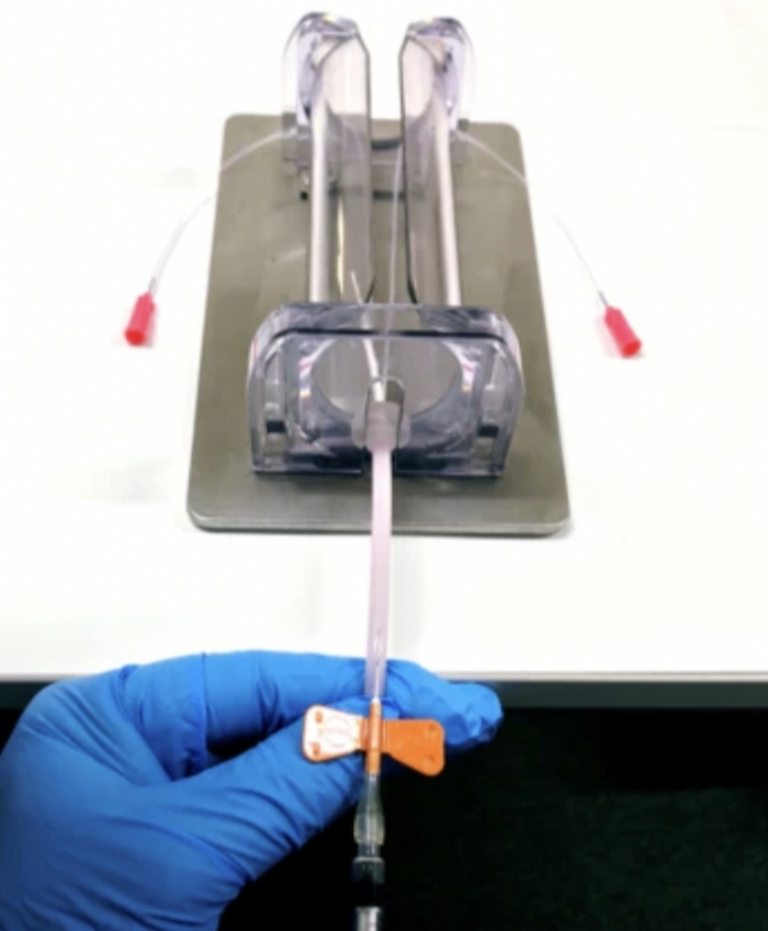 Humaneway™ Rat Tail Vein Simulator