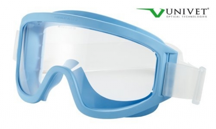 611 Clean Room direct vented goggles clear lens