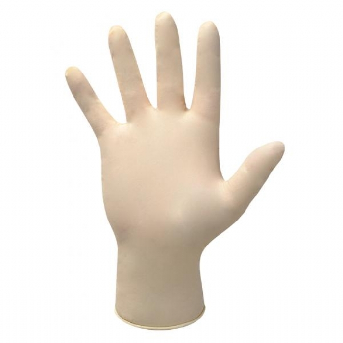 GN31 Powder Free Chlorinated Latex Gloves