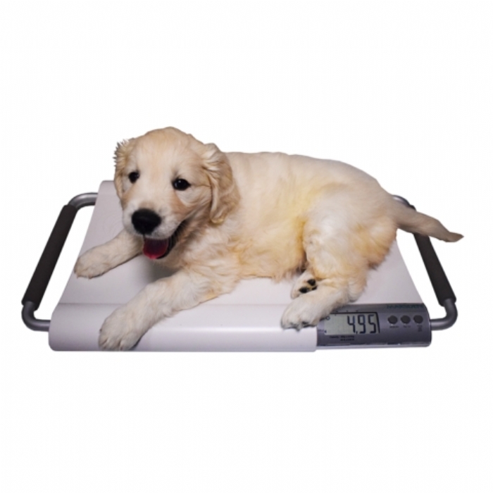 Marsden V-20 Small Veterinary Scale