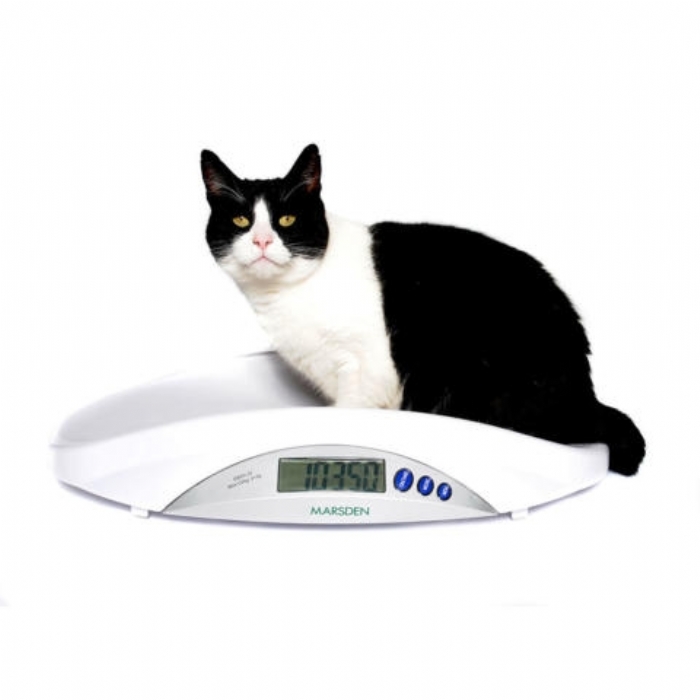 Marsden V-22 Veterinary Scale