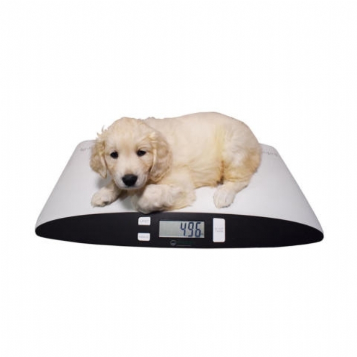 Marsden V-25 Veterinary Scale