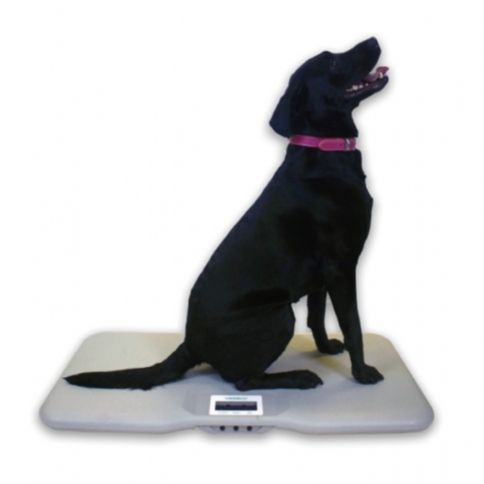 Marsden V-110 Veterinary Scale