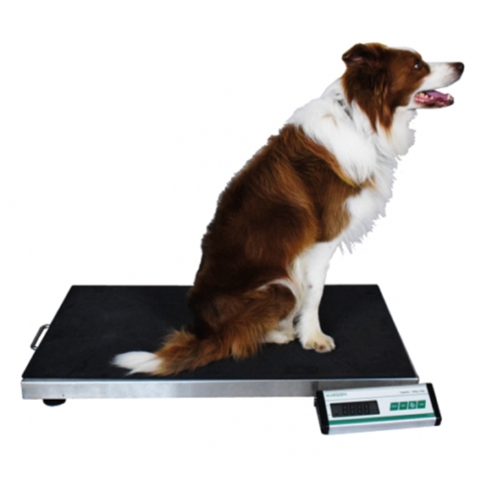 Marsden V-150 Large Veterinary Scale