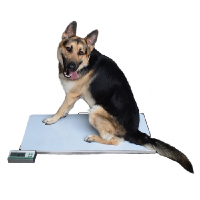 Marsden V-180 Large Veterinary Scale