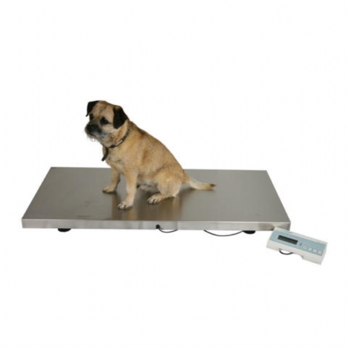 Marsden V-250 Large Veterinary Scale