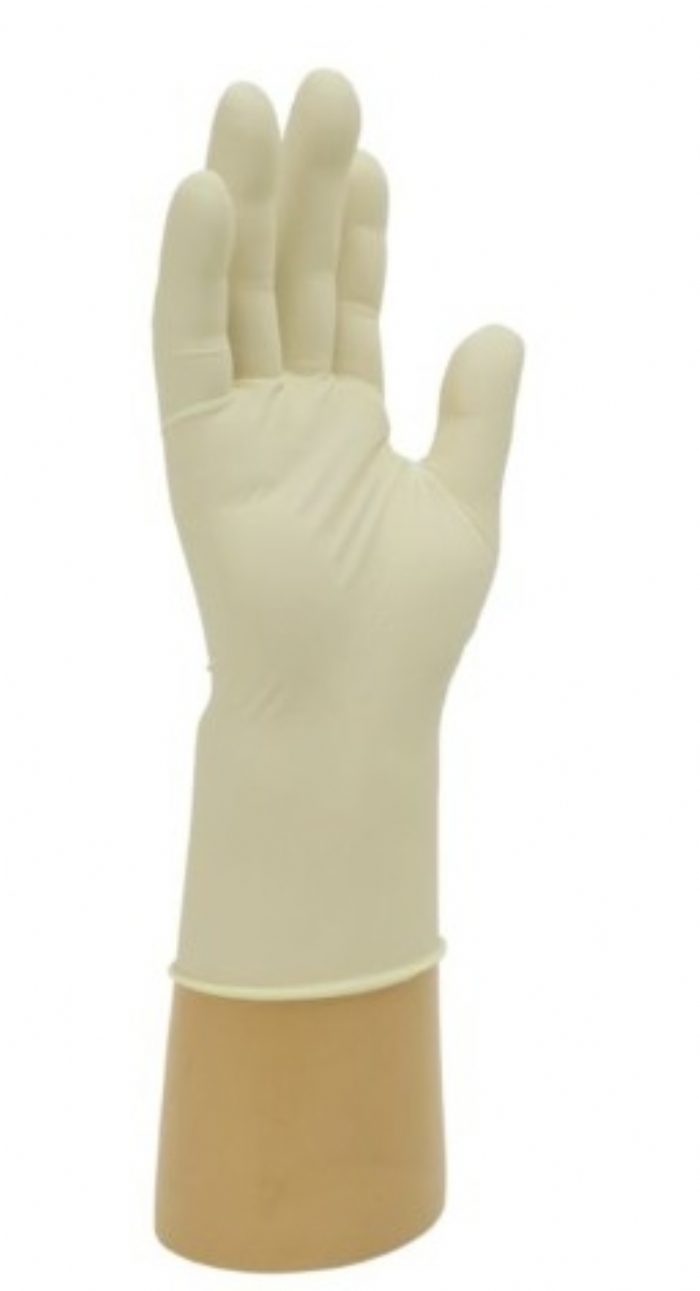 Polyco Healthline GL888 Powder-Free Latex Disposable Gloves – Medical & Hygiene PPE