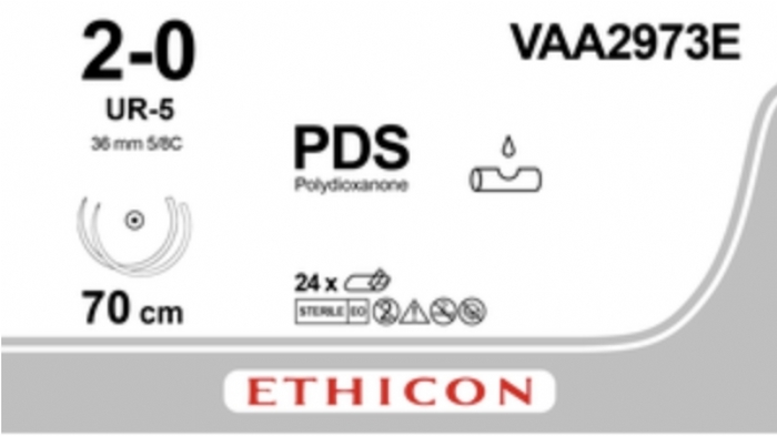 PDS II (polydioxanone) Suture